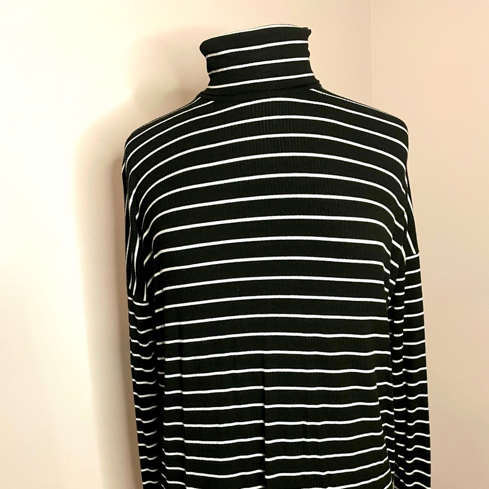Striped Michael Kors Long Sleeve Turtle Neck